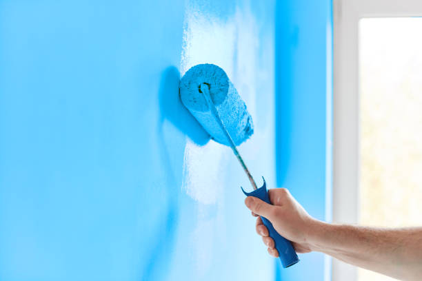 Weather Board Stripping And Preparation Experts 