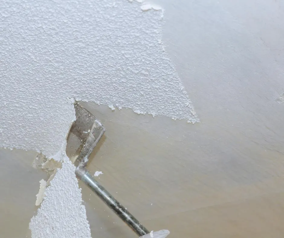 Plastering Services West Coast