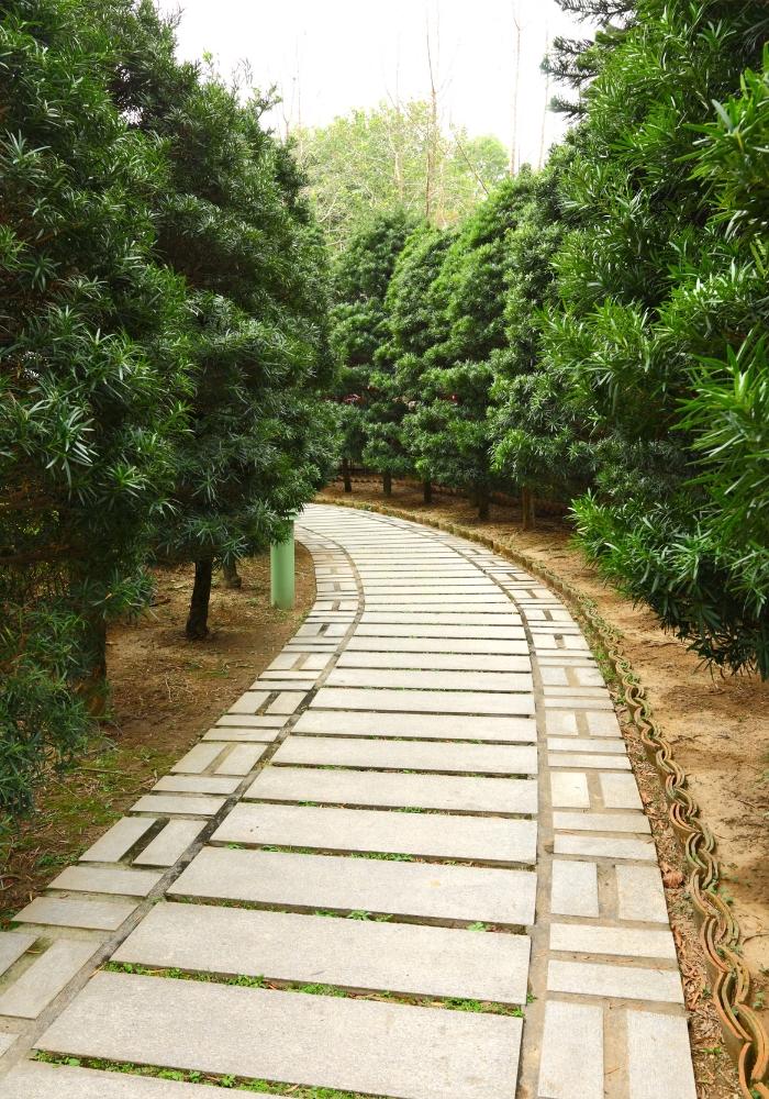 Athens Concrete builds and installs pathways.