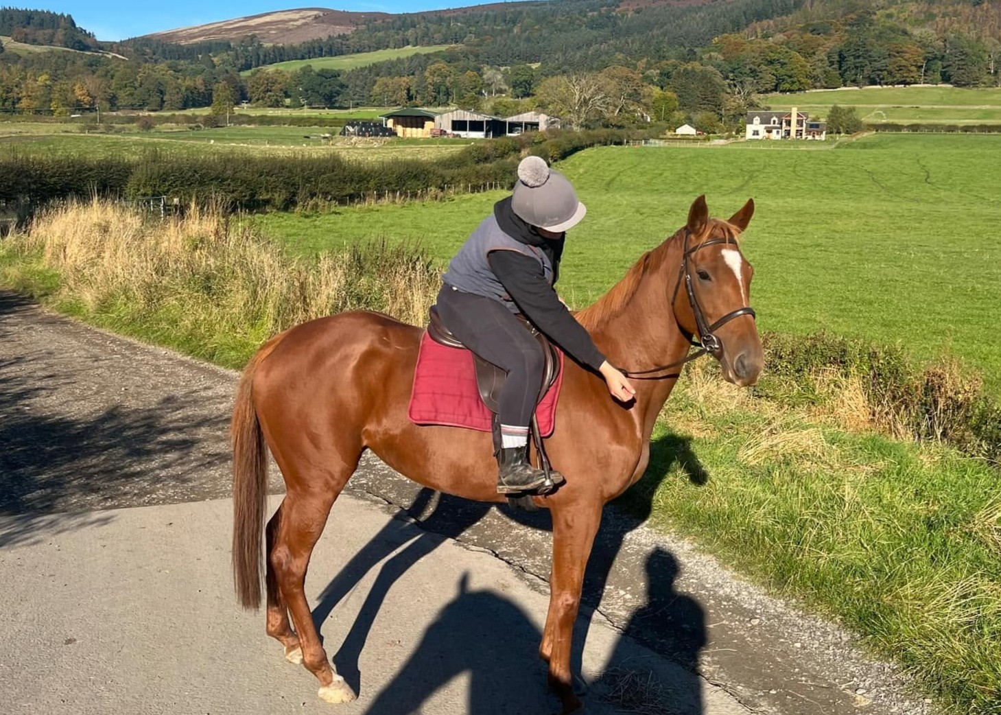 Abbie riding a chestnut horse during training in the Scottish Borders
