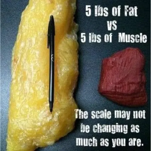 Weight Loss