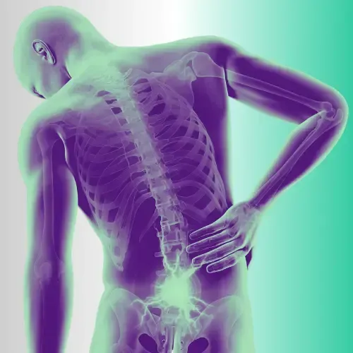 Back pain fort mill chiropractor