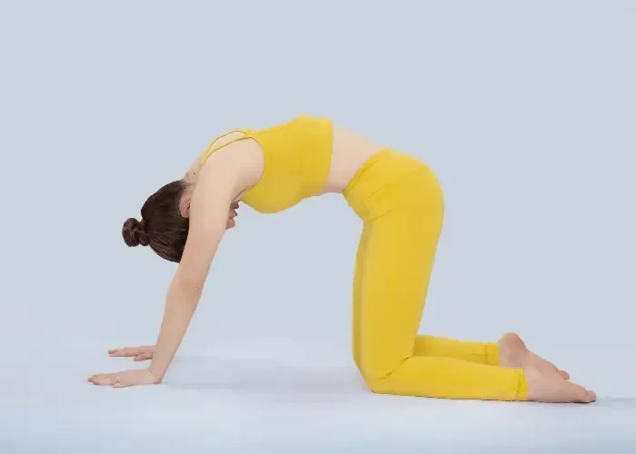 Cat and Camel stretch