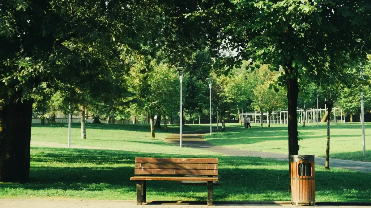 Sports chiropractor near Walter Y. Elisha Park