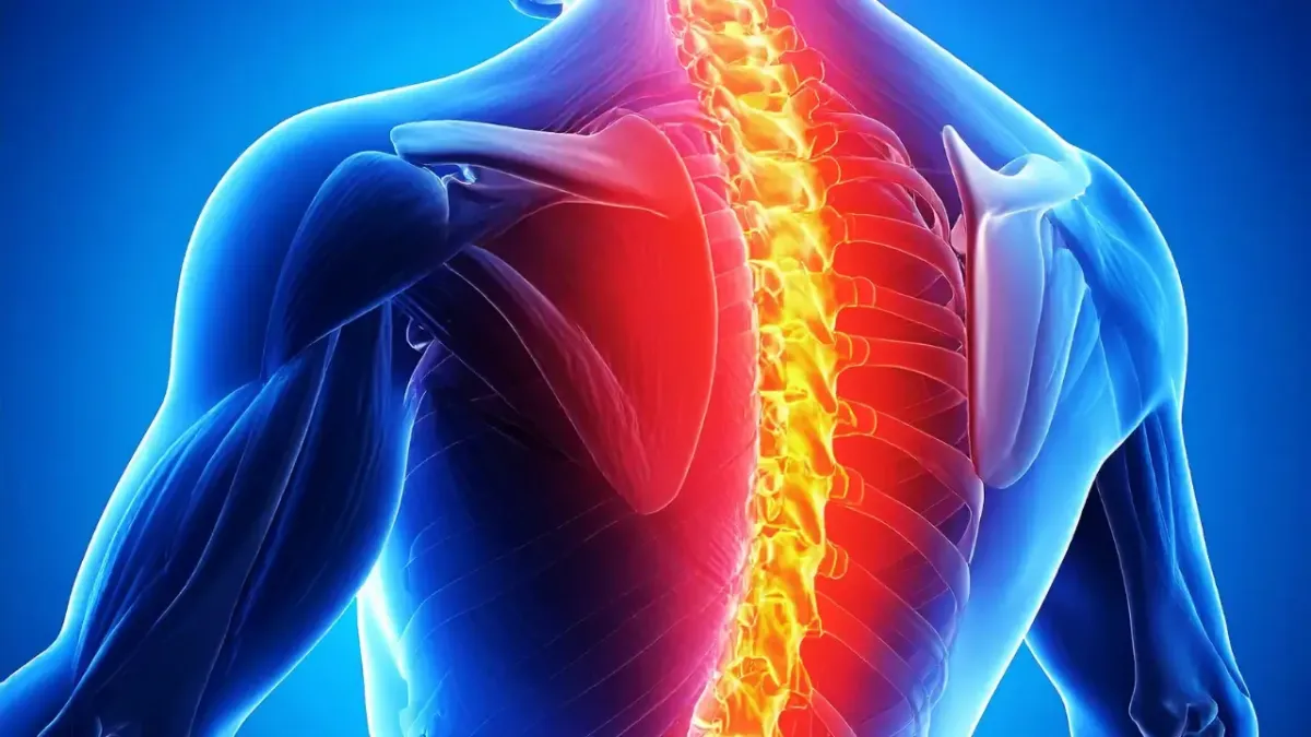 A 3D medical illustration of a human torso showing a glowing orange inflamed spine and red highlighted shoulder blade, representing thoracic back pain treated in Fort Mill, SC.