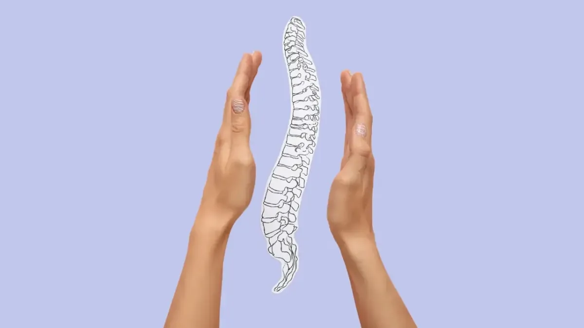 Two hands gently surrounding a sketch of a human spine, symbolizing structural posture correction and scoliosis treatment options in Fort Mill, SC.
