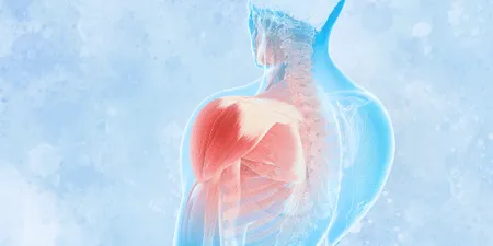 massage therapy and chiropractic care for upper back and spine pain relief in Fort Mill SC