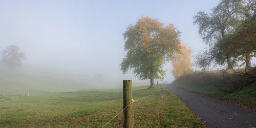 Minimal — $1,001 Deposit illustrative image