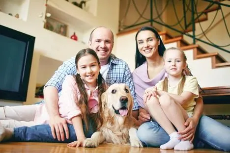 Termite Protection