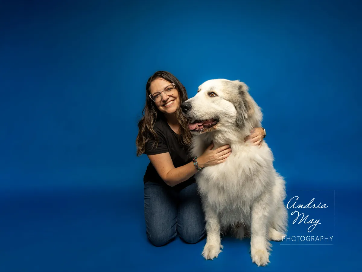 Boston Terrier dog sitting outdoors on green grass, photographed during a professional dog portrait session by Andria May Photography in Gilbert, Arizona.