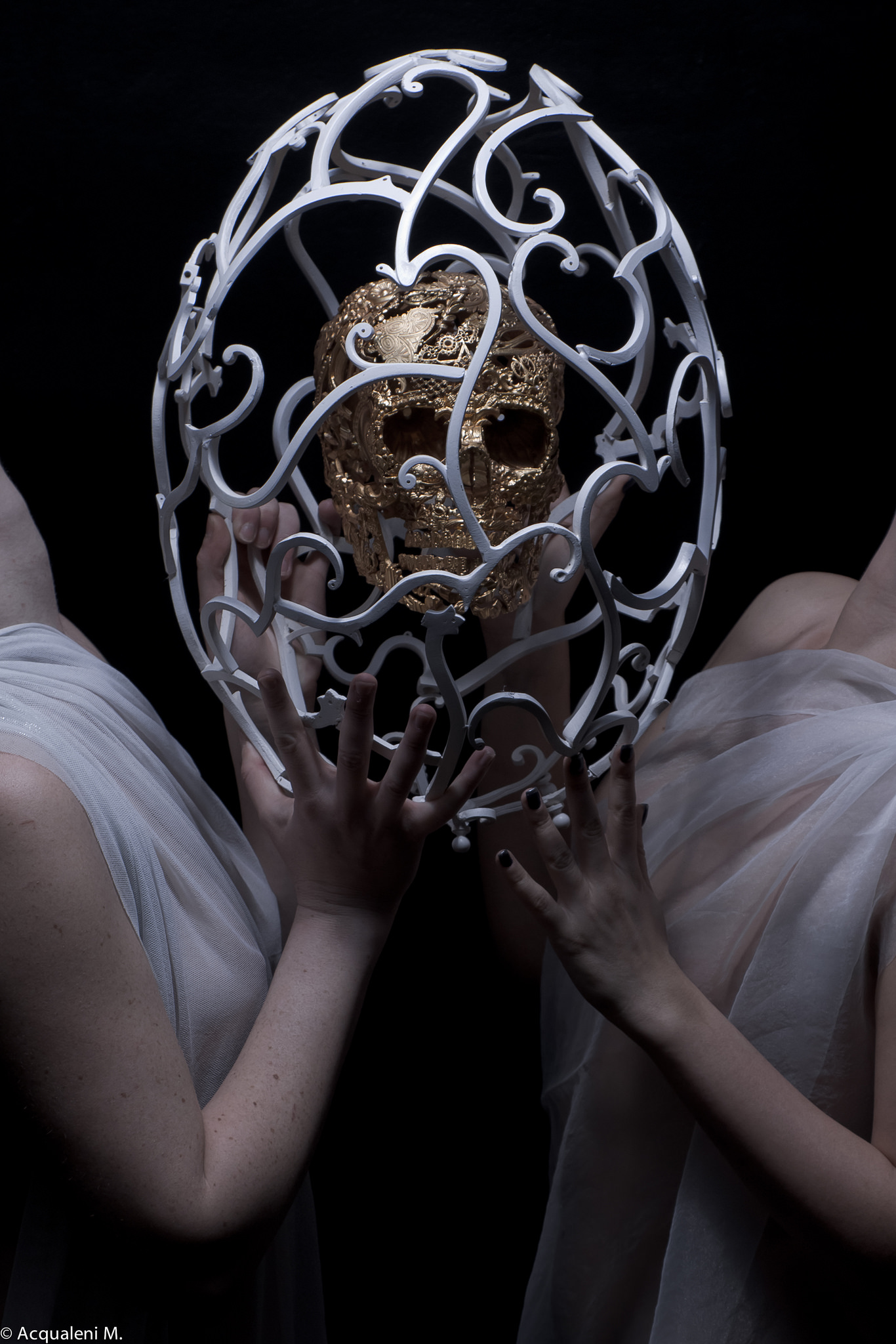 Egg to Skull