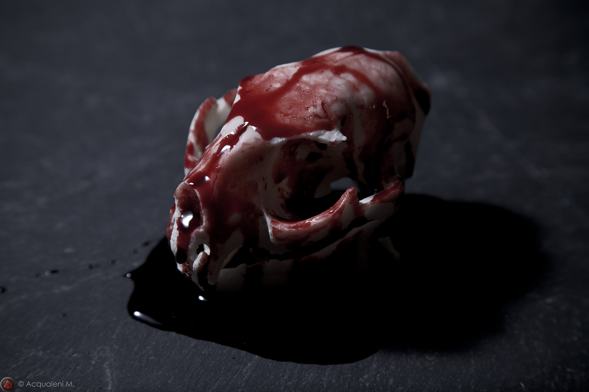 Blood Cat