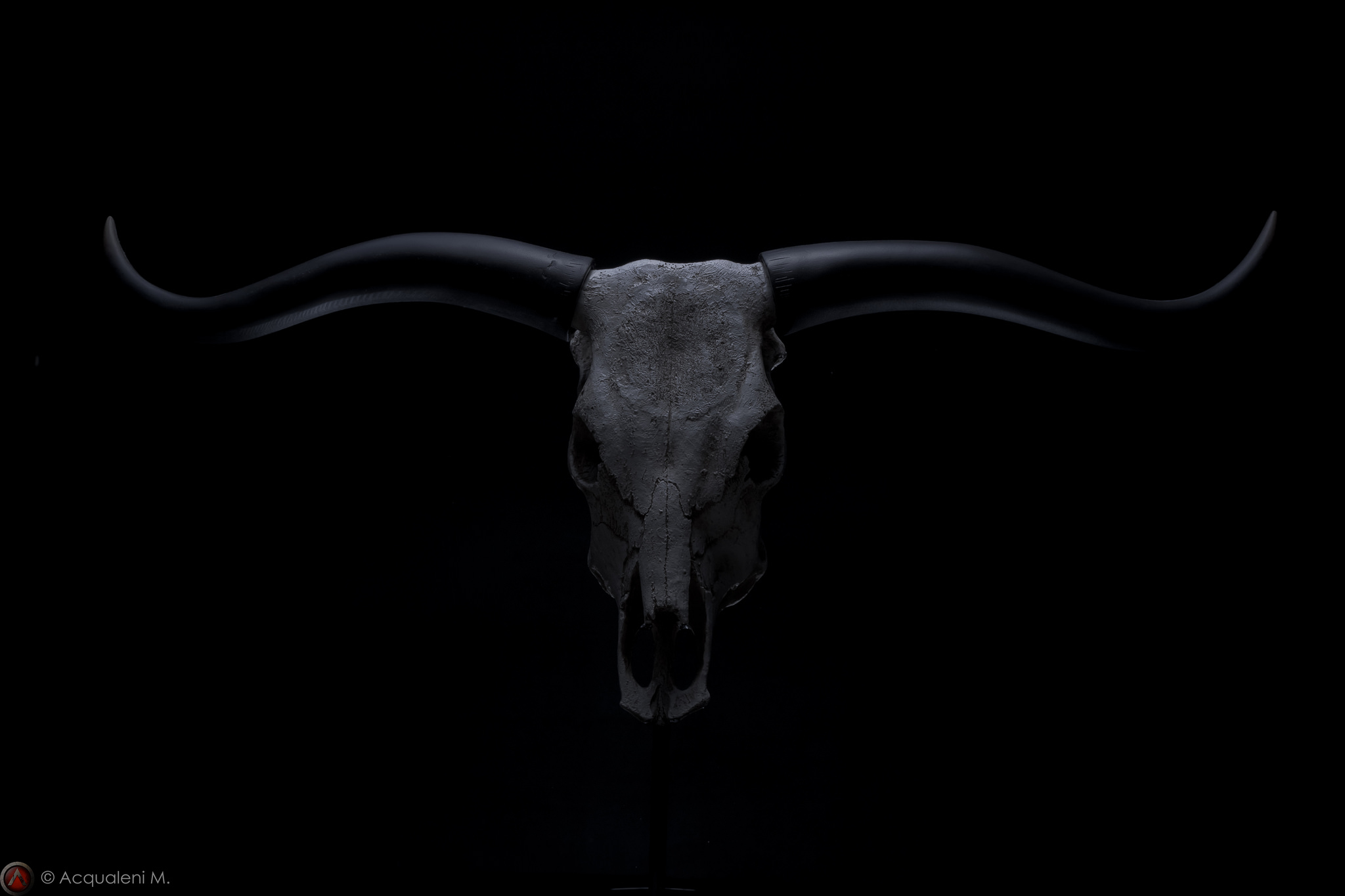 Head of Buffalo