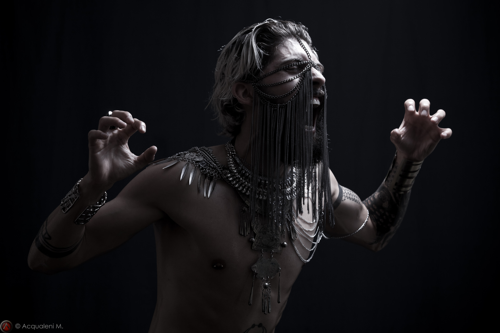 Taipan Xerxes