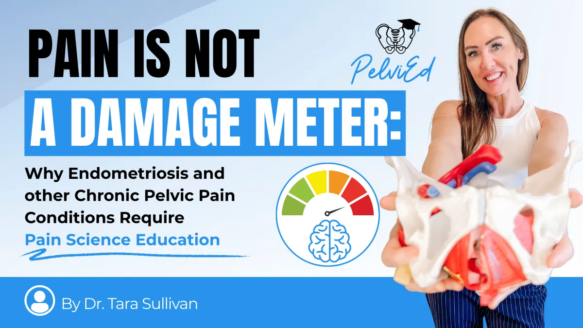 Pain Is Not a Damage Meter