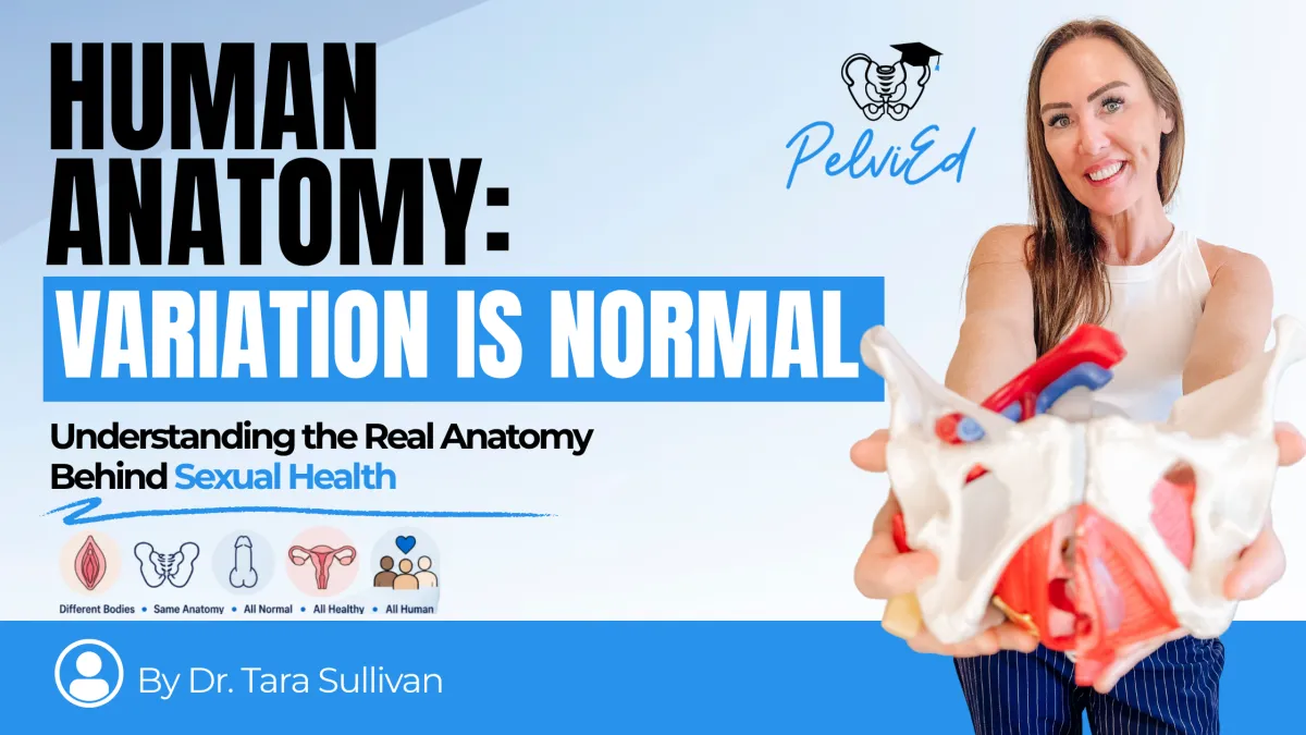 What Sexual Anatomy Actually Tells Us