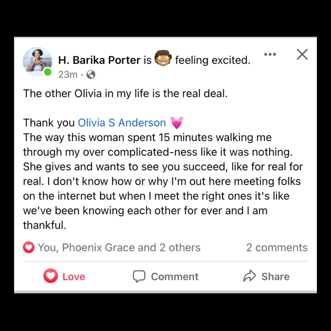 peach and pink petaled flowers