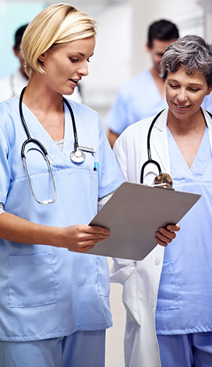 what is Primal Labs Advanced Nerve Support