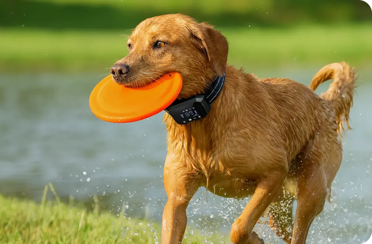 Furthrive GPS Comfort