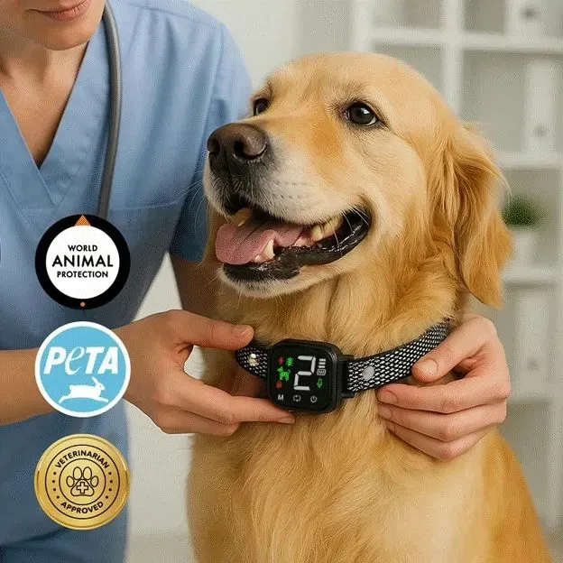 Introduction NooBark