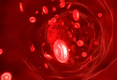 BareEarth Grounding Bed Sheets Cell