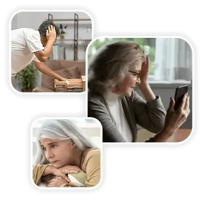 The Brain Song Details