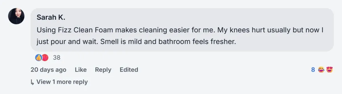 FizzClean review facebook