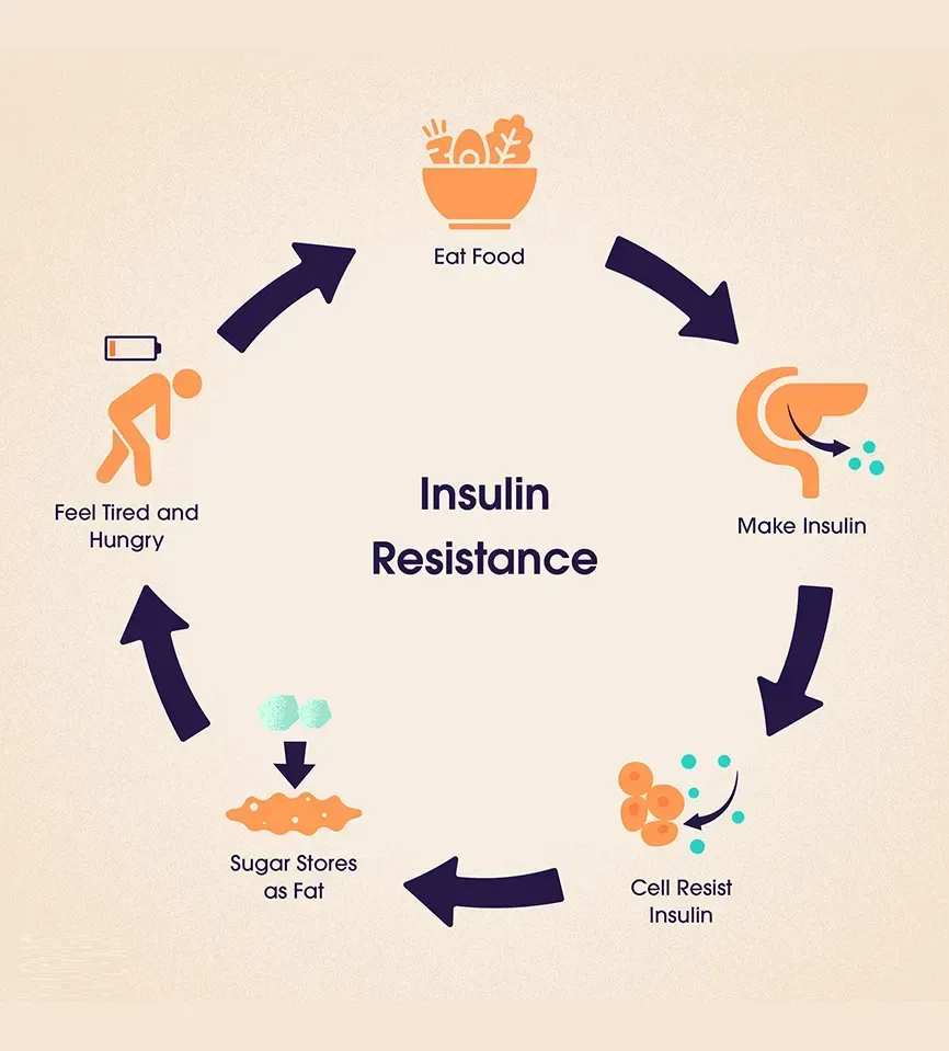 Smart Blood Sugar Book Work