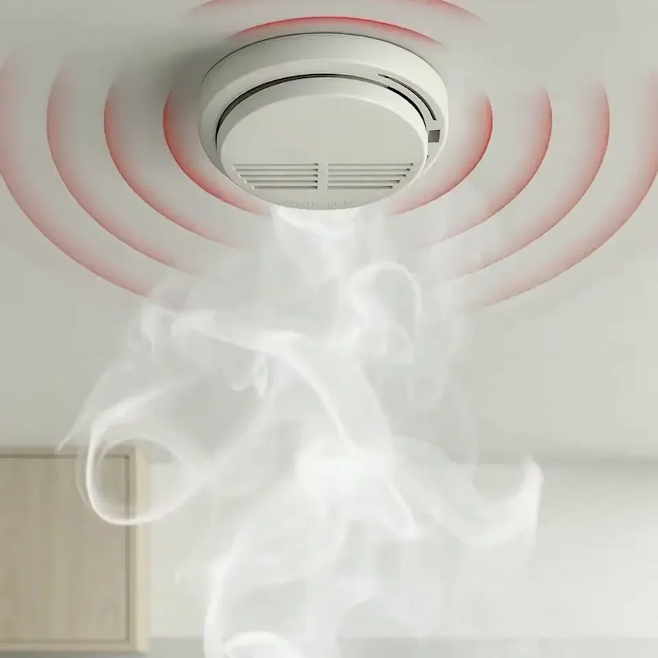 iDetectPro Alert System