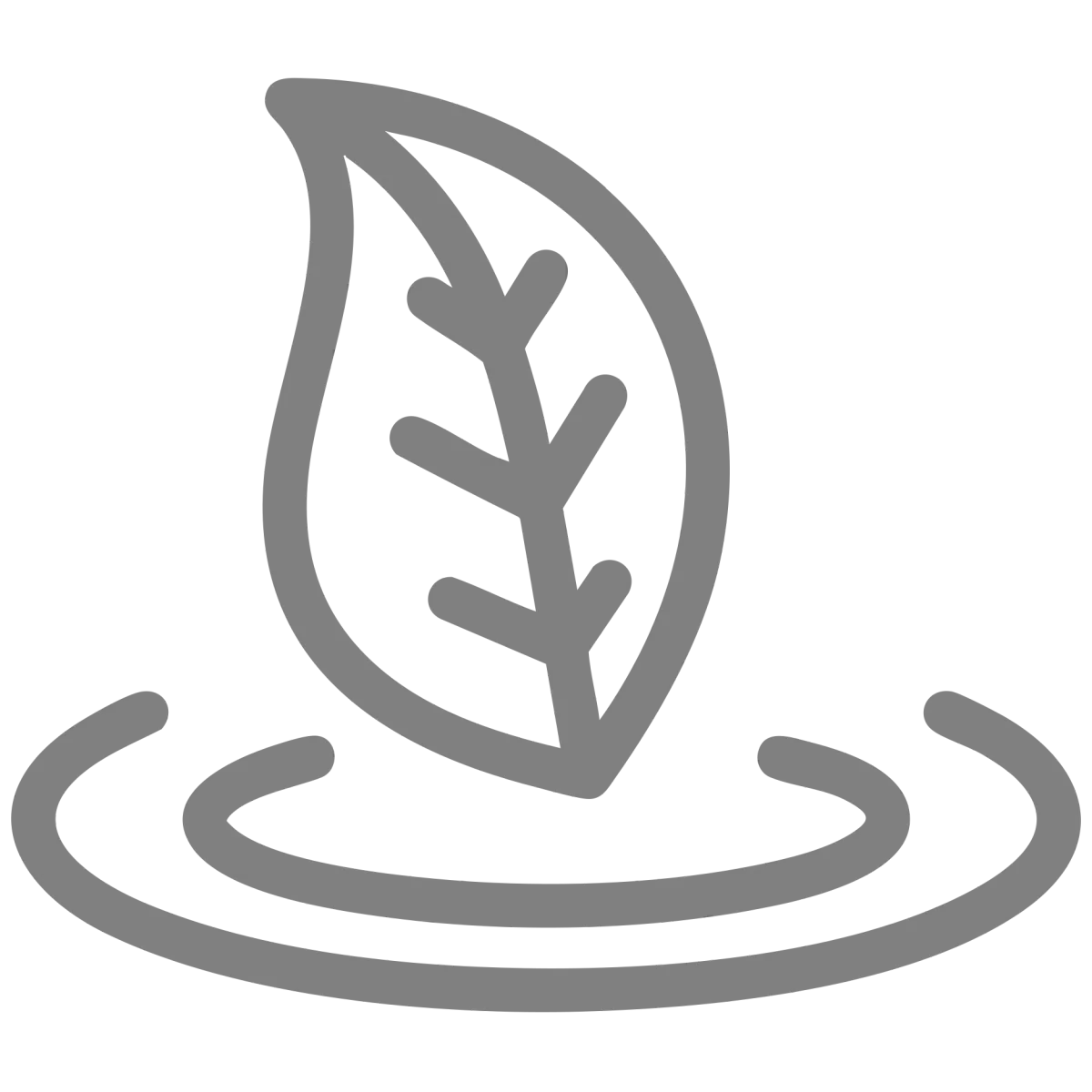  Thermoburn Pro Ingredient