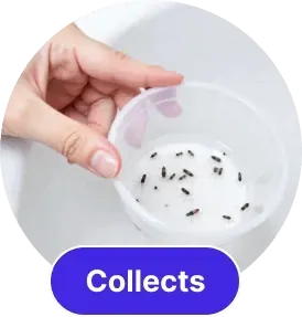 BuzzZapper Pro Collects