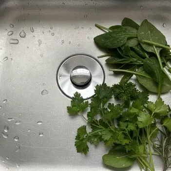 Draino Drain Strainer Review 3