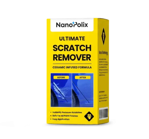 Introduction NanoPolix
