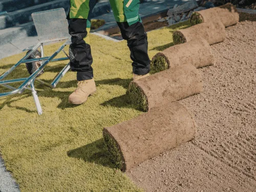 Sod Installation in El Paso