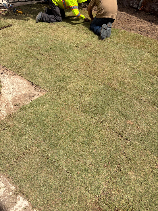 Eastlake Sod Installation