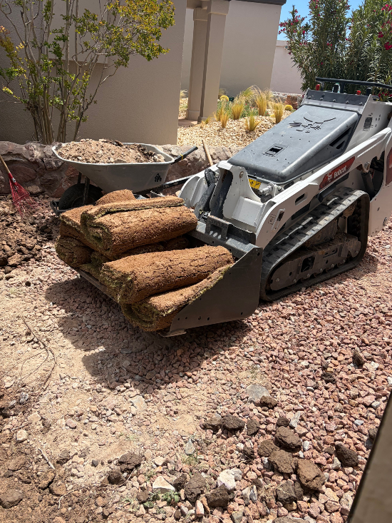 Horizon City Sod Installation