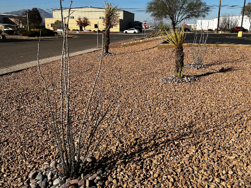 Rock installation in El Paso