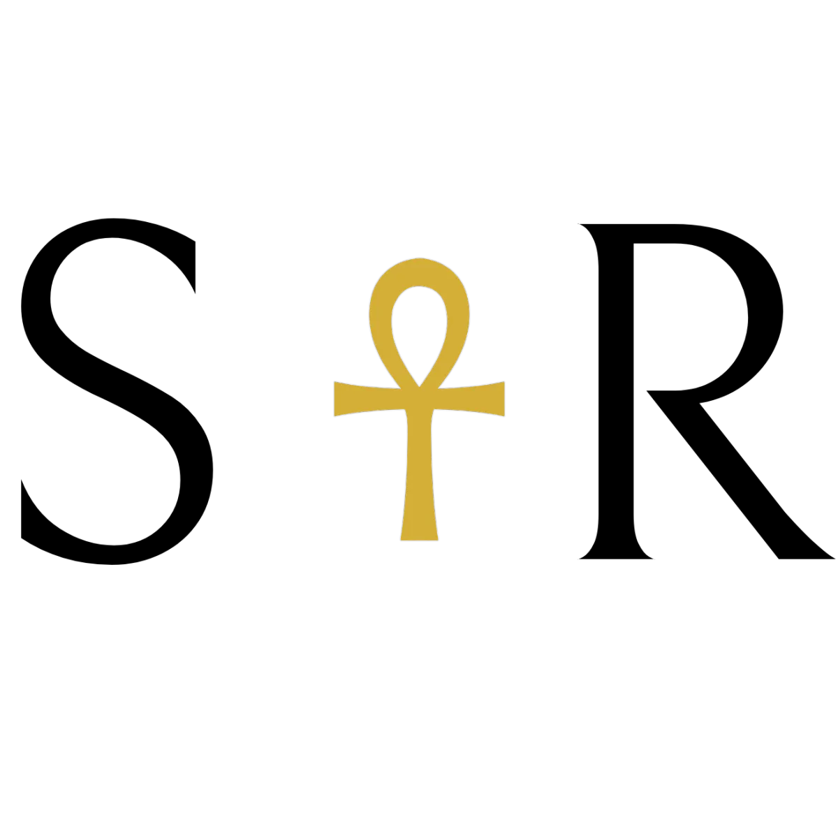DSR Collective logo