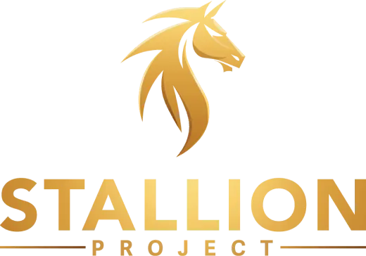 stallion-project-logo