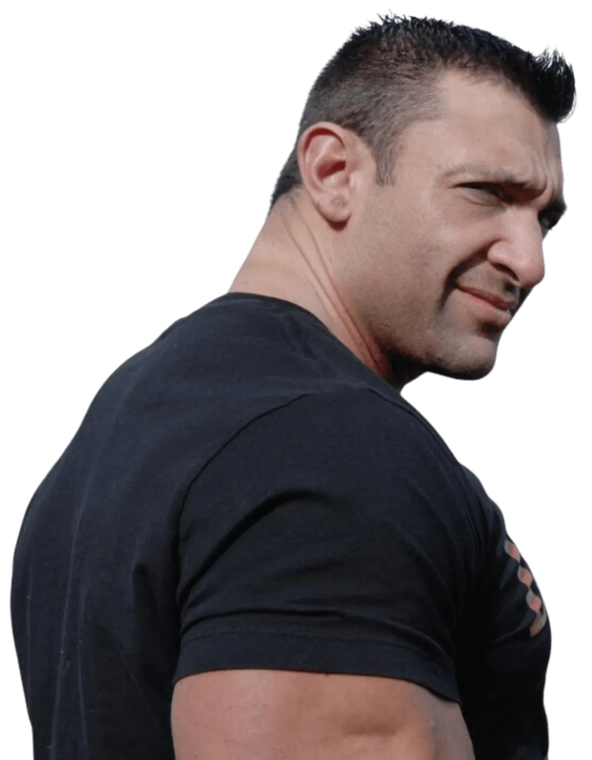 stallion-project-chris-zaino