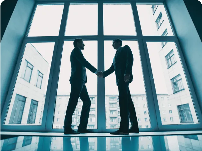 stallion-project-business