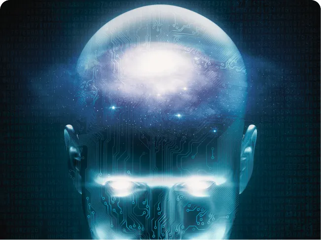 stallion-project-mind