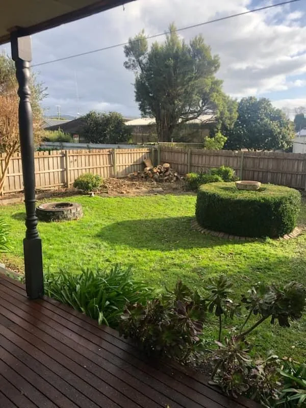 Explore tree management arborist