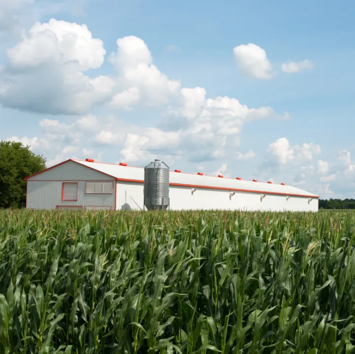 Agricultural Metal Buildings