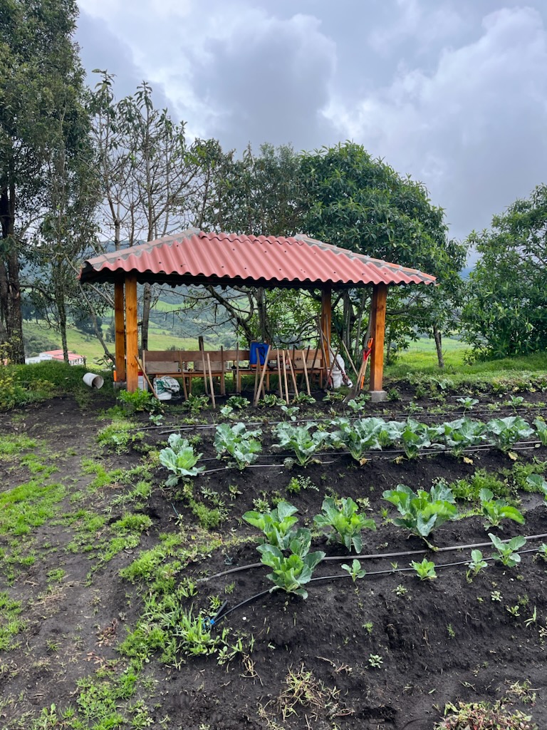 Image of Community Garden