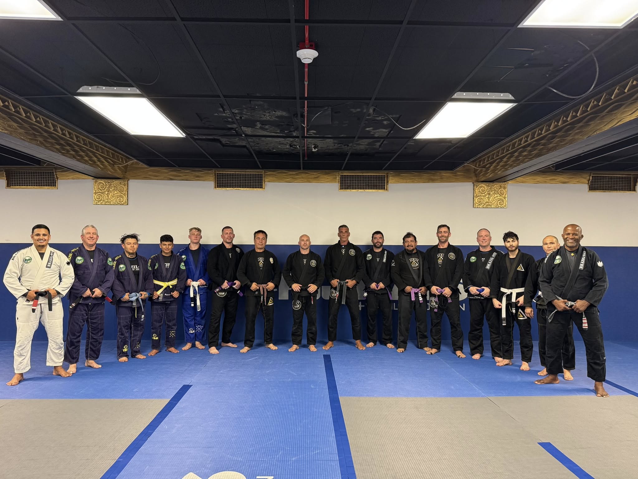 Best martial arts in Des Plaines, IL