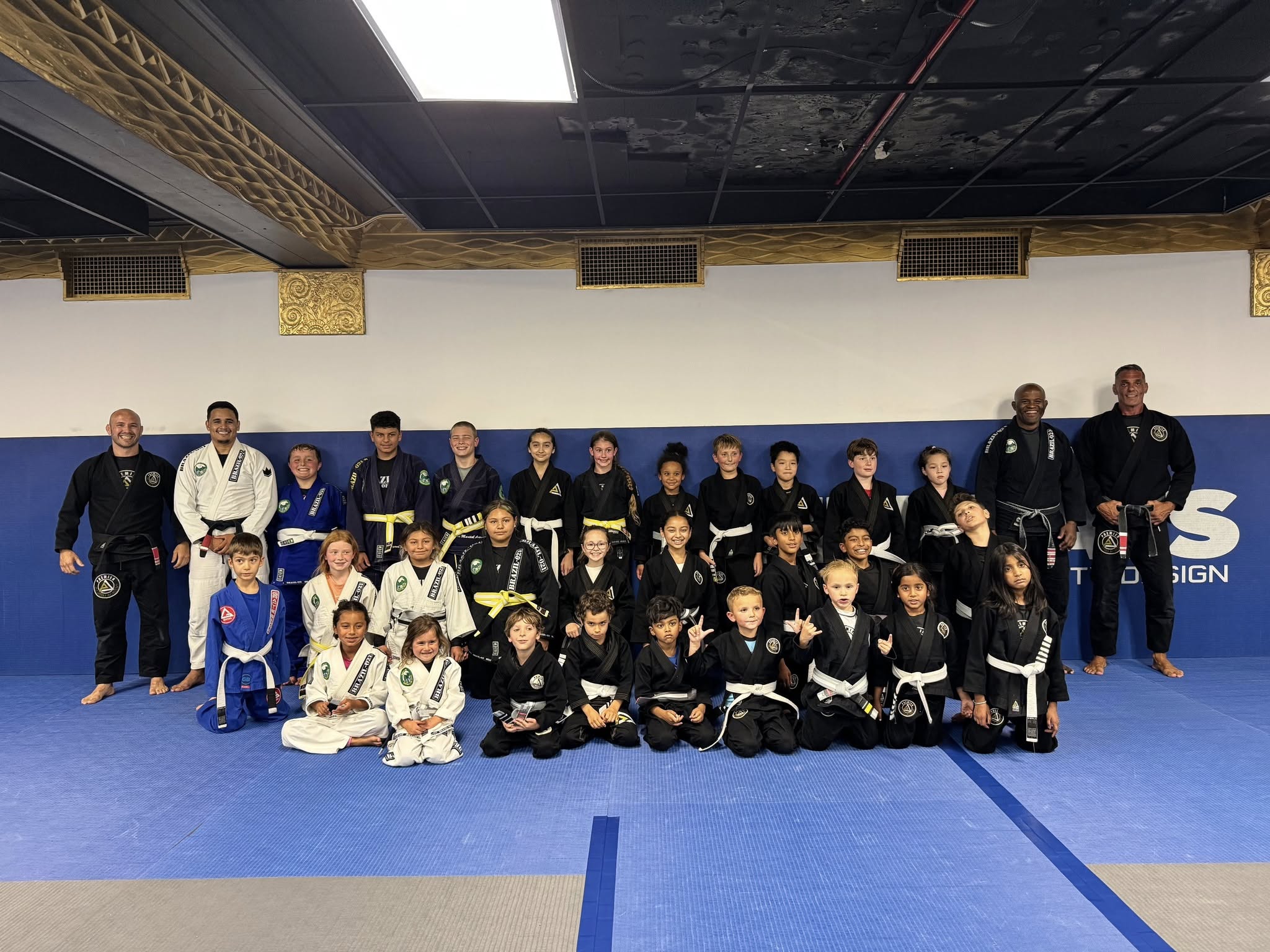 kids brazilian jiu jitsu in des plaines IL