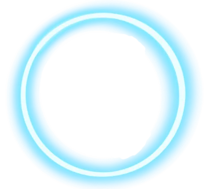 The number five