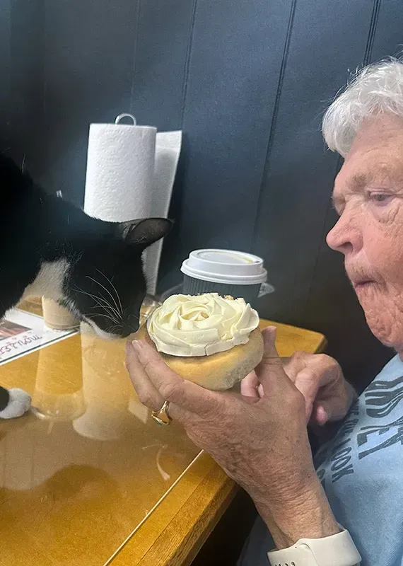 Guests enjoying coffee and pastries with rescue cats at The Downtown Cat Company