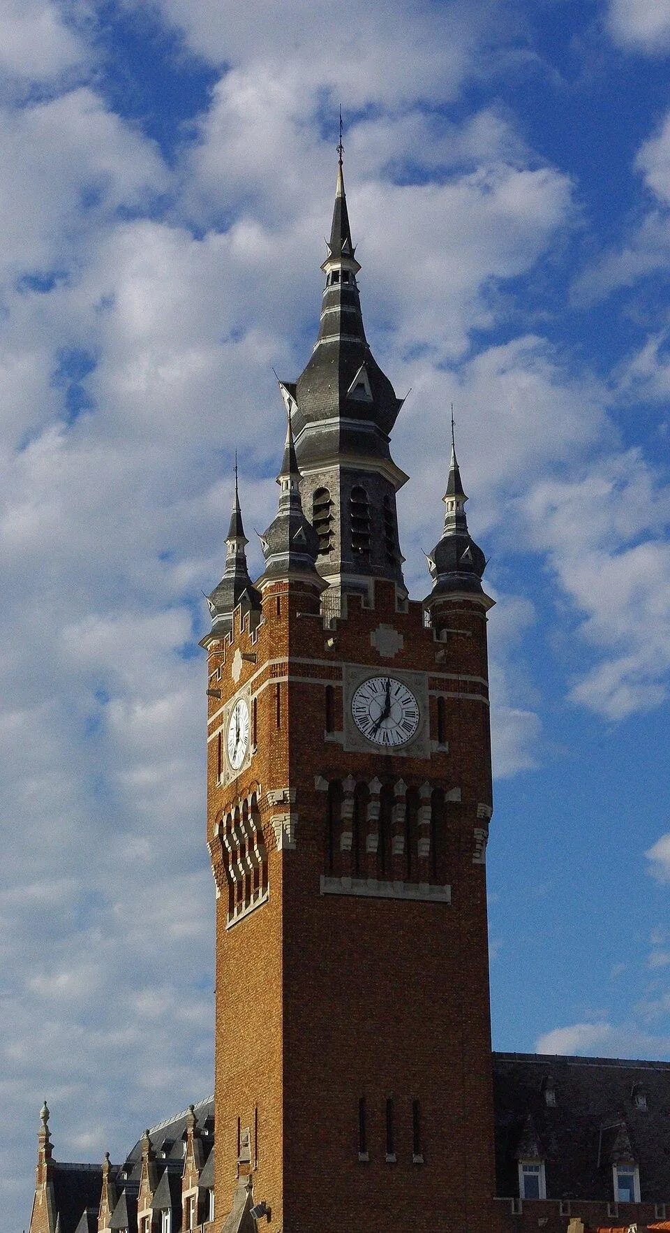 Nocivis services - Dératiseur, nids de guêpes et frelons - Armentières